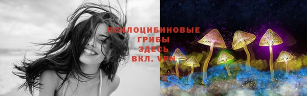 прущий лед Алексин